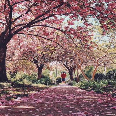 幸运快3在线计划网站