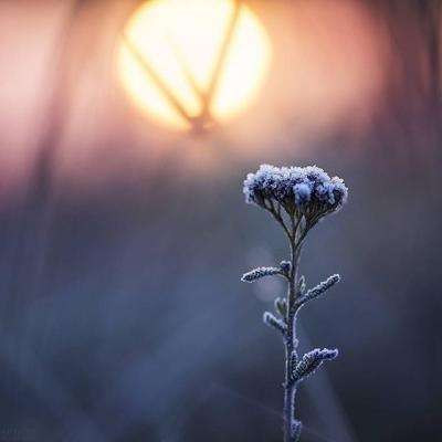 南宫ng28娱乐官网入口