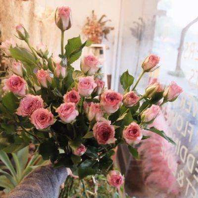 星空体育2024下载