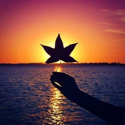 乐鱼app(中国体育)官方网站