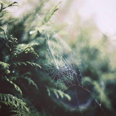 PG电子中国官方网站