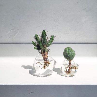 乐鱼官网-登录入口