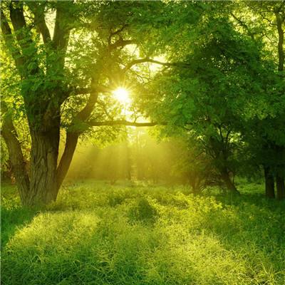 Welcome-凤凰彩票